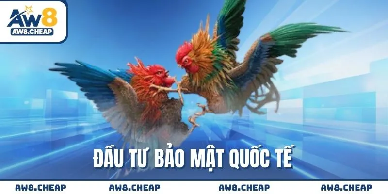 Đầu tư vào bảo mật quốc tế