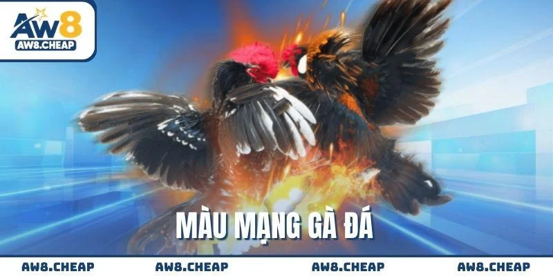 Màu mạng gà đá - Hướng dẫn hiểu và áp dụng hiệu quả